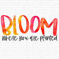 Bloom where you are planted watercolor